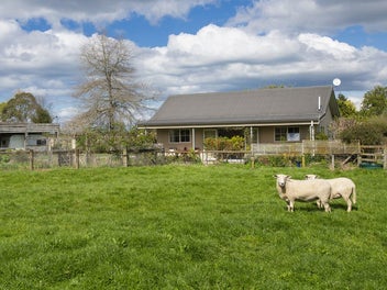 16 MacLaurin Road, Makauri, Gisborne