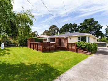 7 Viscount Road, Waldronville, Dunedin