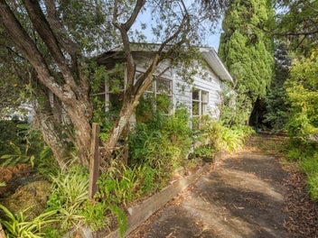 243 Meola Road, Point Chevalier, Auckland