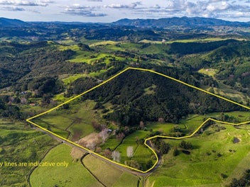 113 Puhata Road, Herekino, Kaitaia