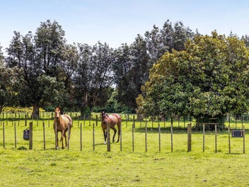 200 Paraite Road, Paraite, New Plymouth