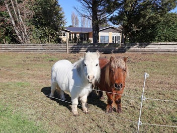 36 Mill Road North, Mill Road, Invercargill