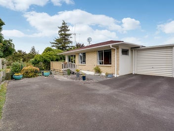 4A Krippner Place, Dinsdale, Hamilton