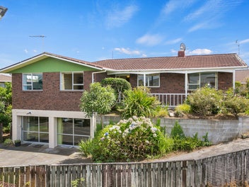 7 Bushview Place, Upper Vogeltown, New Plymouth