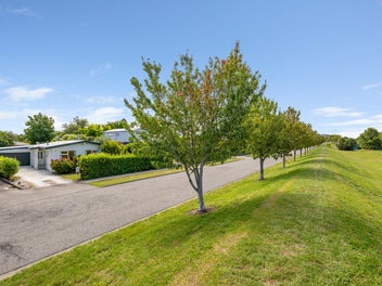 14 Brook Street, Springlands, Blenheim