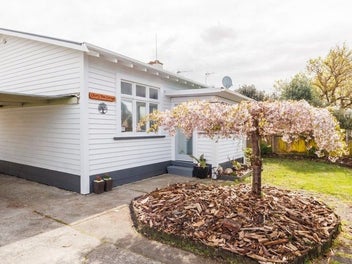 42 Shamrock Street, Takaro, Palmerston North