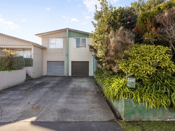 134 Rimu Street, Maeroa, Hamilton
