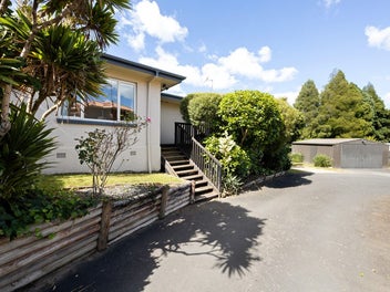 8 Alison Street, Hamilton Lake, Hamilton