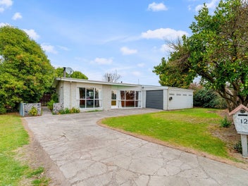 12 Carston Street, Leeston, Leeston
