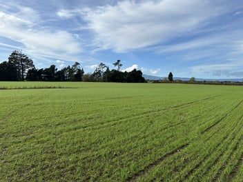 314 Campbell Road, Walton