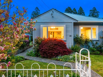 29 Tannadice Street, Normanby, Dunedin