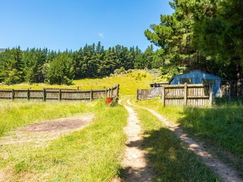 477 Wakamarina Road, Canvastown, Havelock