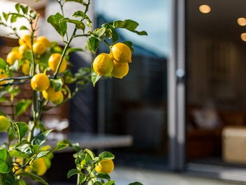 91D Whites Line East, Waiwhetū, Lower Hutt