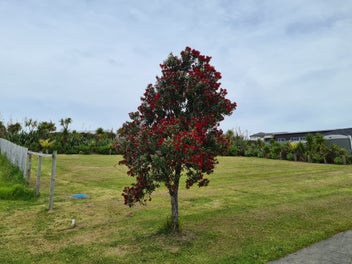 19 Kahu Drive, Mangawhai