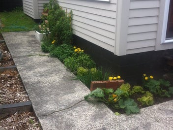 44 Ranelagh Street, Karori, Wellington