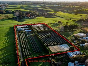 280 Corbett Road, Paraite, New Plymouth
