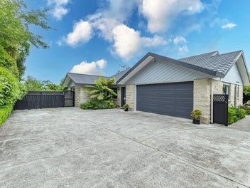 87 MacArthur Street, Levin, Levin