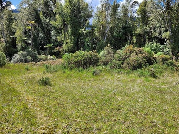 10 Alymer Place, Franz Josef Glacier