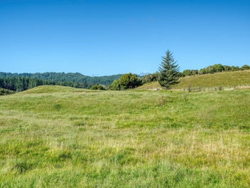 0 Lake Kaniere Rd, Hokitika