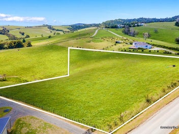 219 Tapu Bush Road, Whangaripo, Wellsford