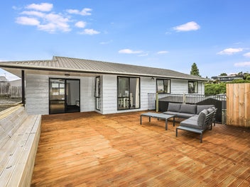 11A Ridout Street, Maeroa, Hamilton