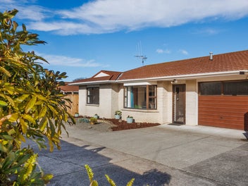 788B Main Street, Roslyn, Palmerston North