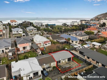 58C Albert Street, Saint Clair, Dunedin