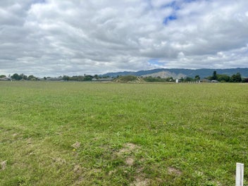 5 Thorn Place, Levin, Levin