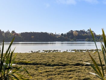 139E SNODGRASS ROAD, Western Bay Of Plenty