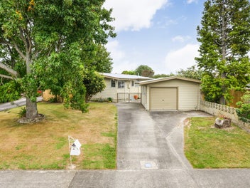 49 Gemini Avenue, Milson, Palmerston North