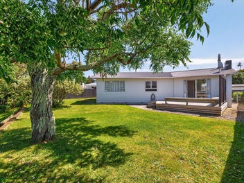 33 Leicester Street, Terrace End, Palmerston North