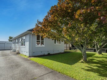 38 Douglas Crescent, Fairfield, Hamilton