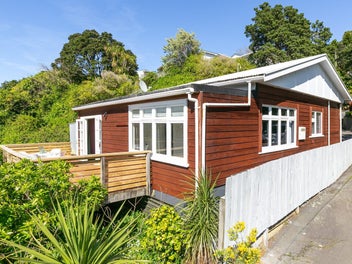 64B Balfour Street, Mornington, Wellington