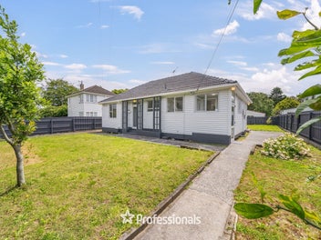 17 Molesworth Street, Taita, Lower Hutt