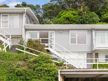 2/22 Mccoll Street, Vogeltown, Wellington