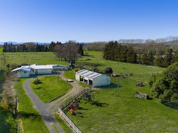 386 Marshmeadow Road, Newstead, Hamilton