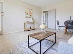 3/13 Hill Road, Hillpark, Auckland