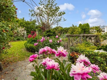 1 Brian Bary Street, Redwoodtown, Blenheim