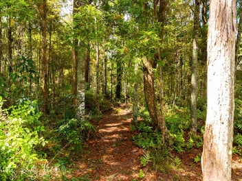 356 Bull Road, Waiotira