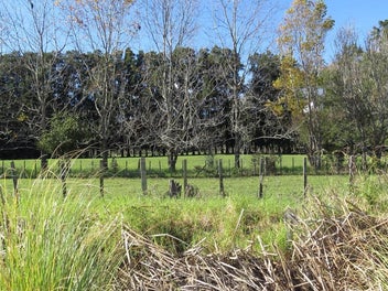 305 Motukiore, HOREKE, OKAIHAU