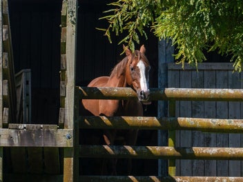 691 Te Waerenga Road, Rotorua