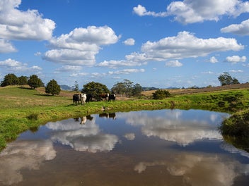 6 Pigs Head Road, HIKURANGI, Hikurangi