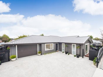 15 Samuel Place, Terrace End, Palmerston North