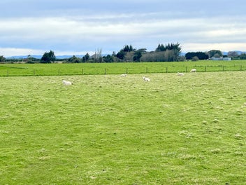 70 Woodlands Cemetery RD, Woodlands, Invercargill