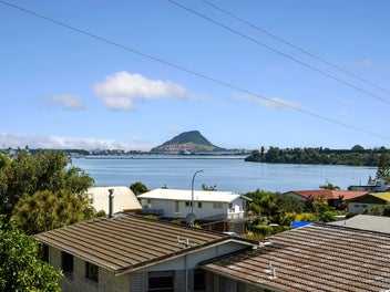 359 Maungatapu Road, Maungatapu, Tauranga