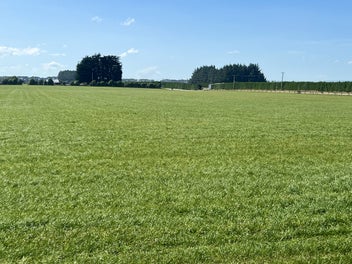 74 Turkey Bush Road, BRANXHOLME, INVERCARGILL