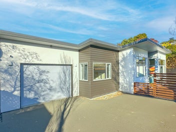 16A Albert Street, Saint Clair, Dunedin