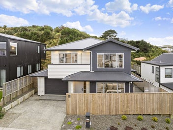 22 Domett Street, Newlands, Wellington