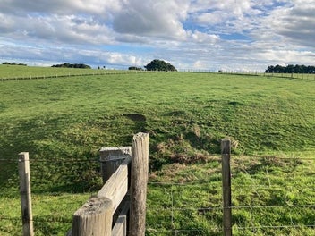 156 Morrison Road, Tuakau
