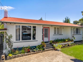 21 Carey Street, Maeroa, Hamilton